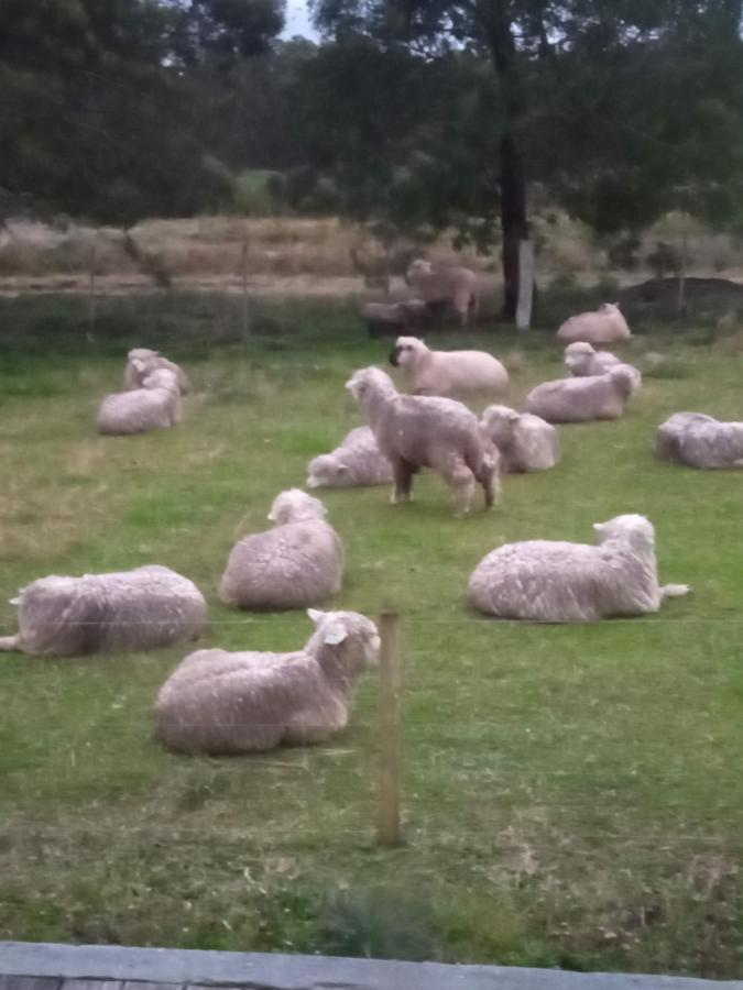 Pousada Do Pampa Jaguarão Kültér fotó