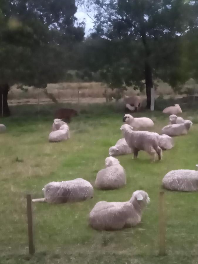 Pousada Do Pampa Jaguarão Kültér fotó